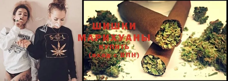 Бошки Шишки OG Kush  Западная Двина 